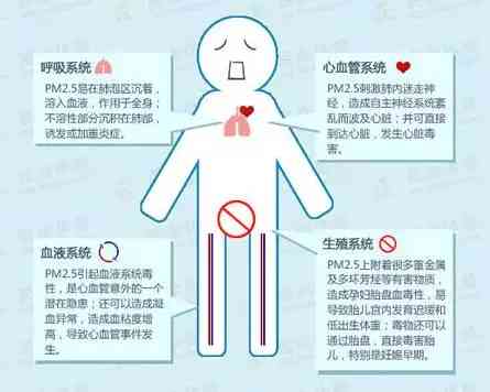 深入了解粉尘过敏：全面解析对身体健的潜在危害与应对策略