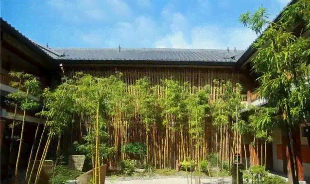 漫步小城，邂逅悠然时光