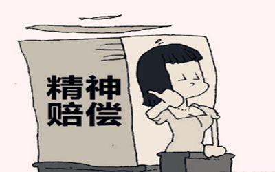 精神损害可以进行赔偿吗：赔偿标准、金额及法律后果解析