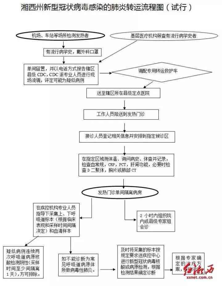 精神病患者工伤事故认定的标准与法律流程解析