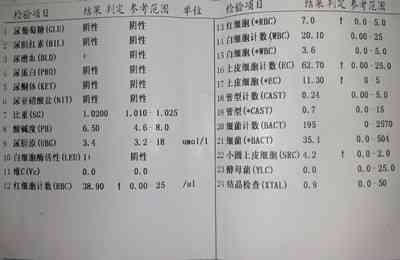 读懂体检报告：全面解析血常规、尿常规异常指标及专家大会诊指南