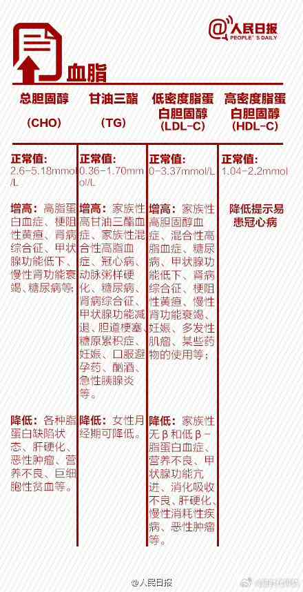 健体检专业术语解读指南