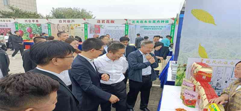 绘制新篇章：打造专属你的创作