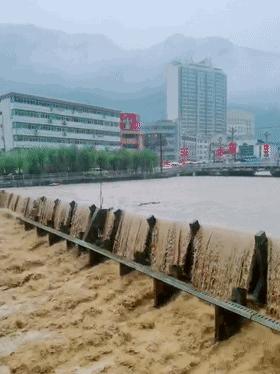 紧急避险造成伤害的责任承担、赔偿及民事责任免除情况解析