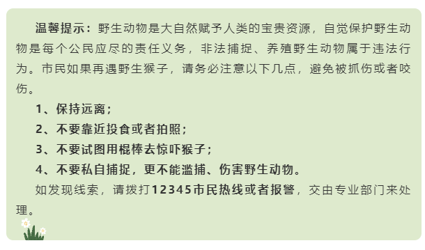 紧急避险造成伤害的责任承担、赔偿及民事责任免除情况解析