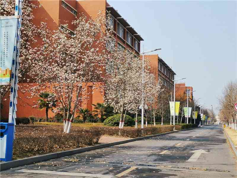 ai绘制校园文案软件哪个好一点：挑选校园设计辅助工具