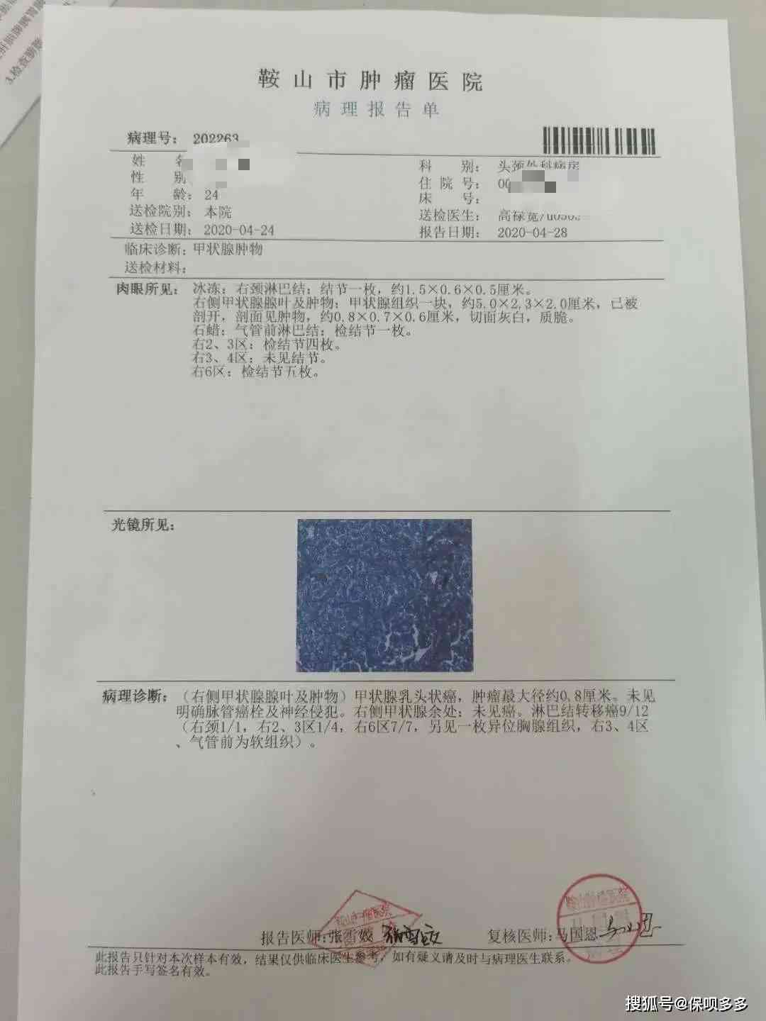 综合保险报告单：全面解析保险理赔流程、条款解读与用户案例分析