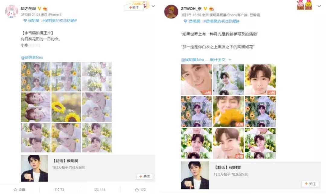 掌握小红书写作秘诀：打造高吸引力文案攻略