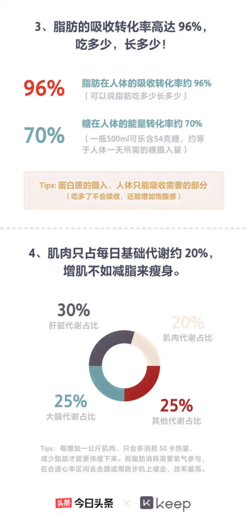 揭秘：今日头条文章高效搬运与内容创新之道