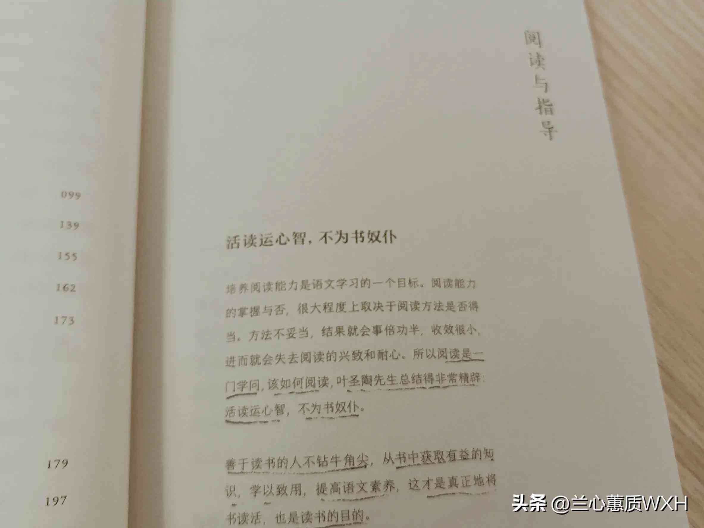 '智能语文阅读提升与创意写作AI辅导课程'