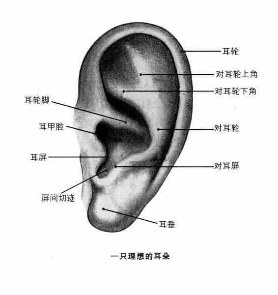 疑问：缝针十一针究竟属于何种伤害？探讨伤口严重程度与处理方法