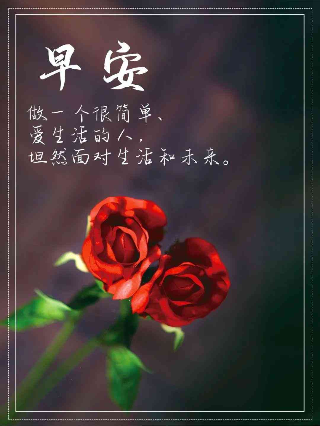 分享心语：情感碰撞的文案火花
