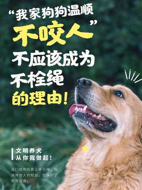 狗狗的魅力：情感满满的狗狗文案创作指南