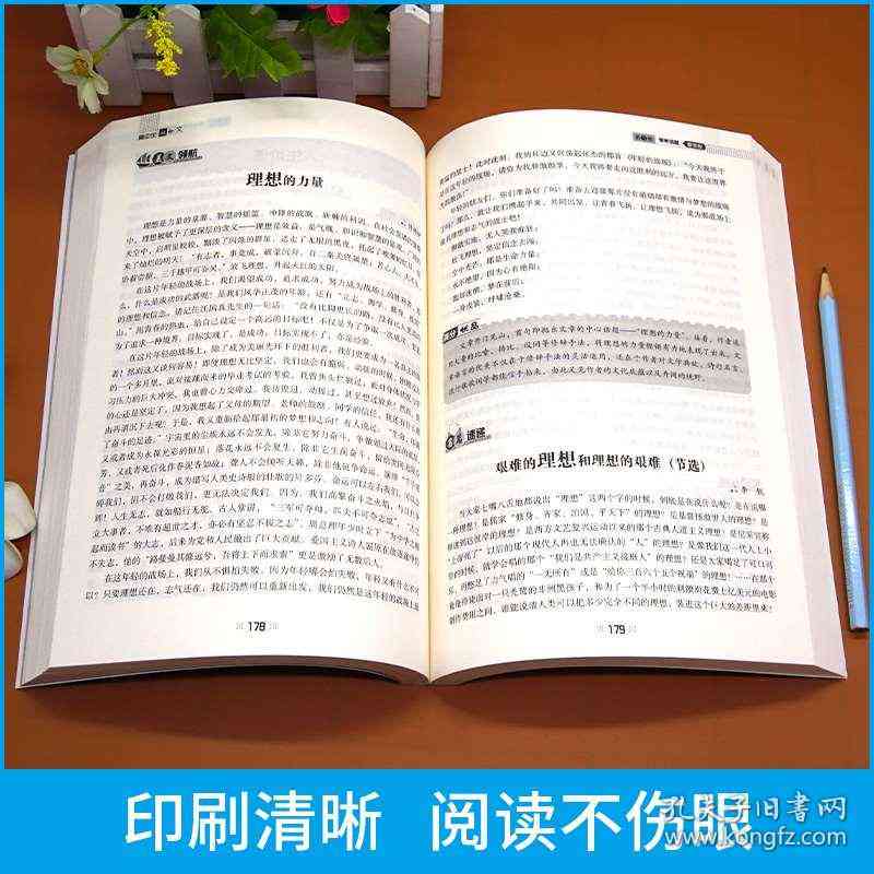 个性化定制文案：AI模板写作指南与范文精选