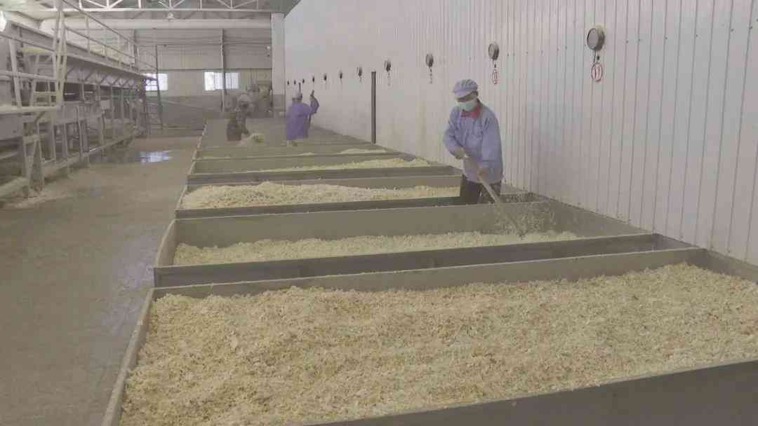 智能编程助手：AI赋能自动化代码编写革命