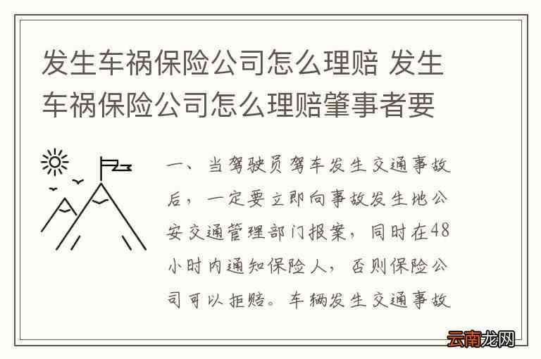 单向事故理赔：全赔条件、报警必要性、定义解析及车险处理指南