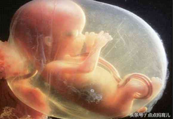 孕期健监测报告