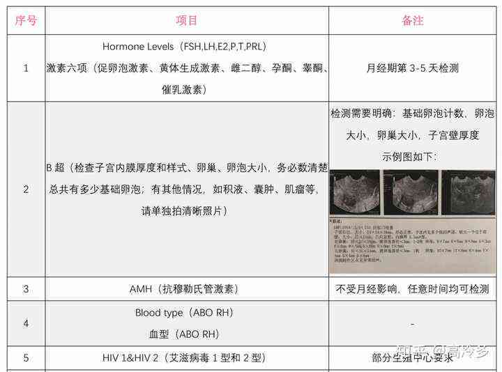 全面解读：孕期检查报告分析与常见问题解答