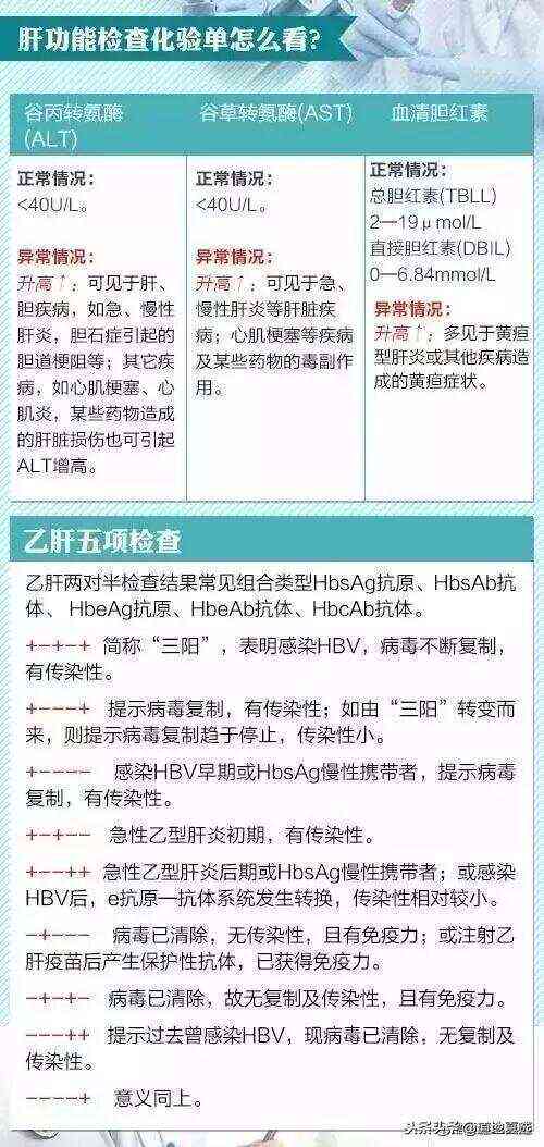 深入解析：如何快速读懂体检报告中的关键指标