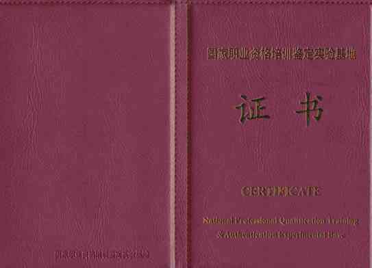 聘书与劳动合同的区别及法律效力分析：详解二者在职场中的应用与界定