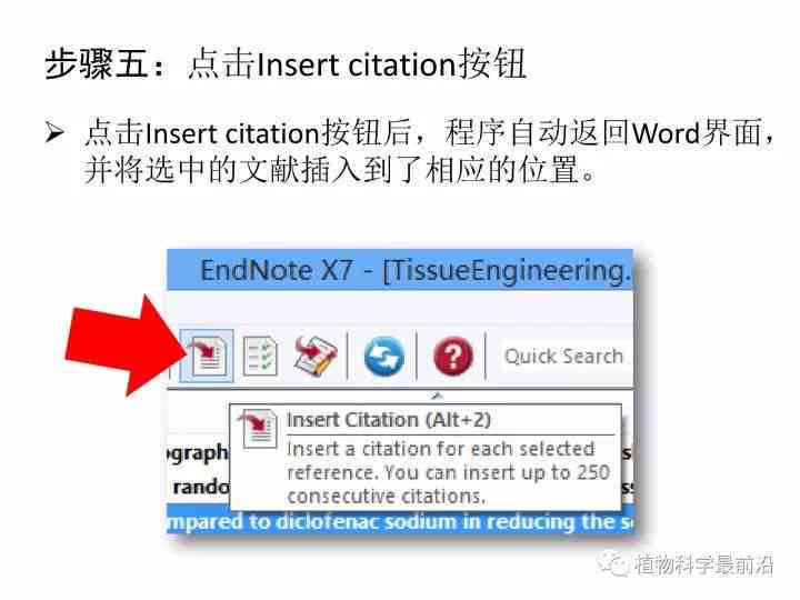 斑马AI创意脚本怎么用的：详细使用教程与操作步骤指南