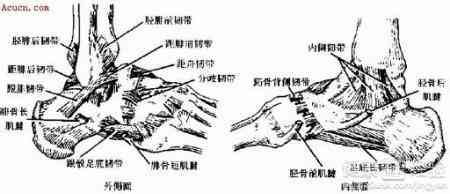 肌腱断裂能否认定工伤等级
