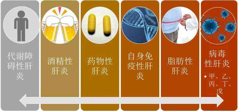 肝炎能工作吗：女性及患者能否正常工作、参与劳动？