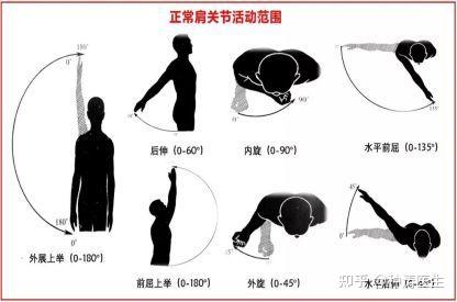 肩关节积液多少算正常：正常值范围解析
