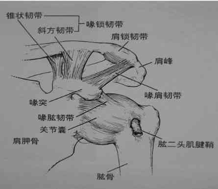肩袖损伤认定工伤吗