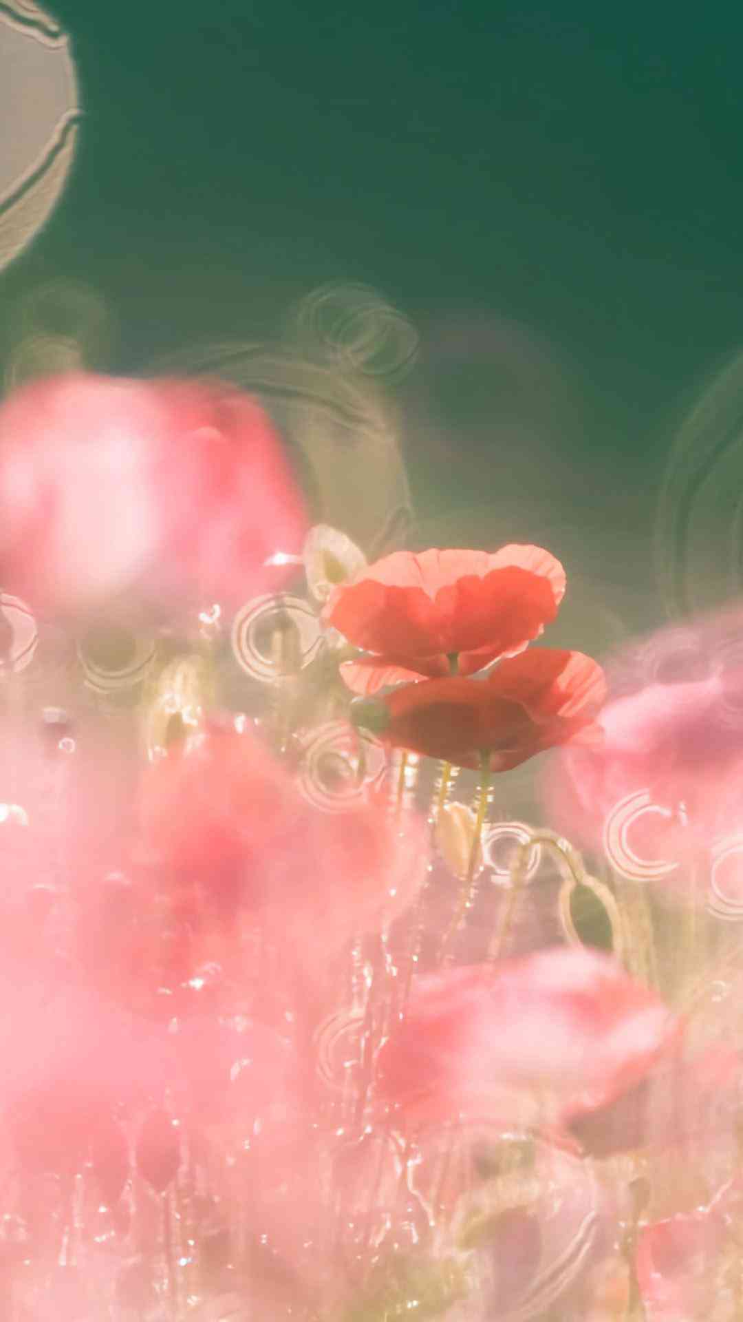 心灵疗愈：AI绘制的静风景原创艺术佳作