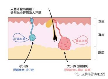 肺脓肿可以做手术吗：手术治疗的费用、必要性和治愈可能性解析