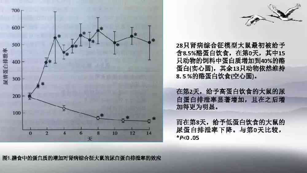 肾病综合征是否构成残疾：从医学角度解析其影响与界定