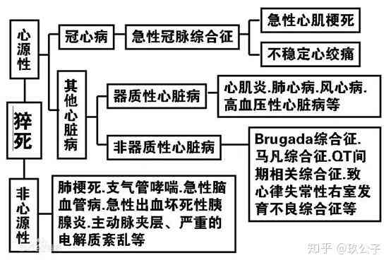肾病能否被认定为工伤：详解工伤认定的标准与流程