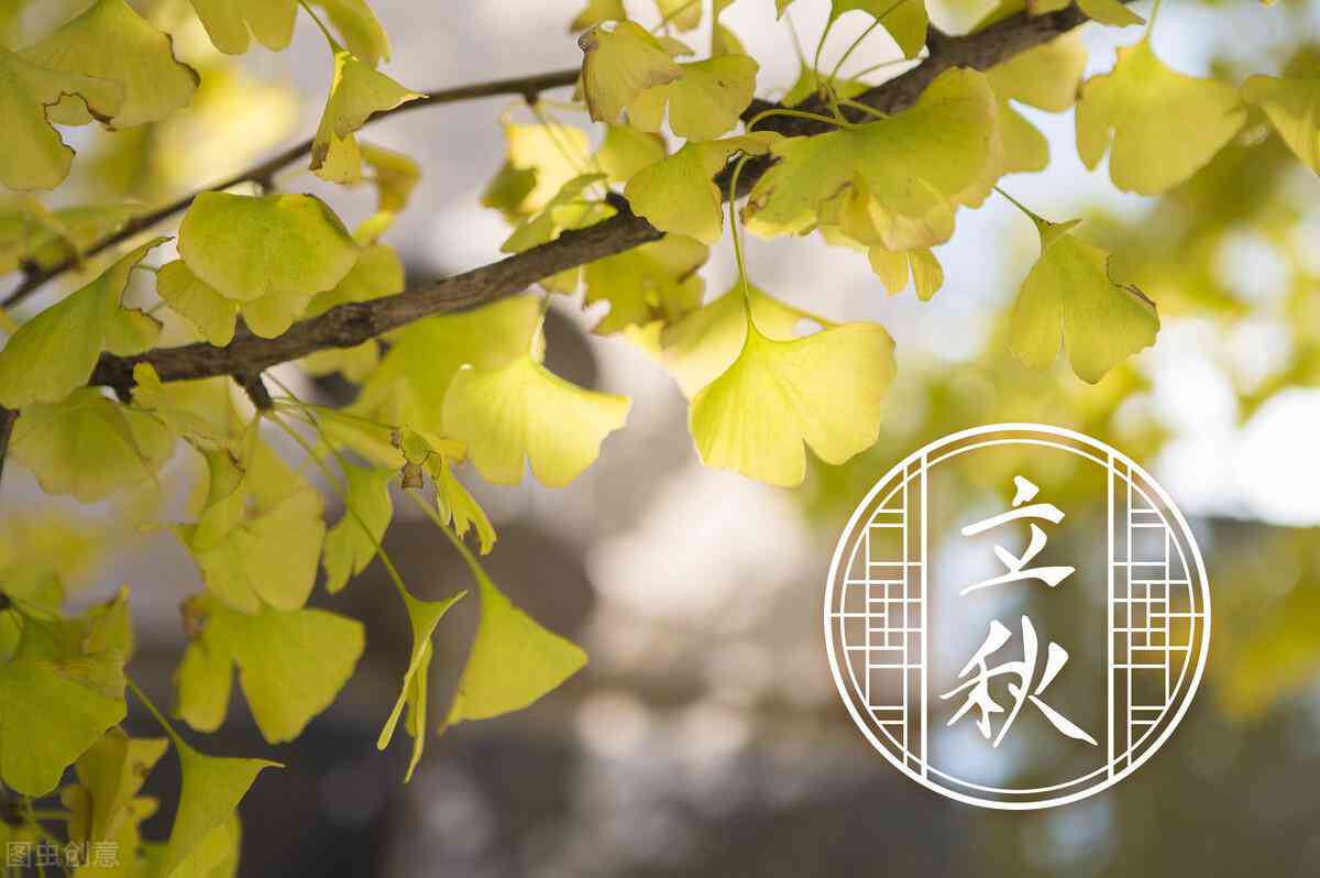 AI训练声音的文案素材：与制作教程