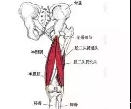 胫骨后肌肌腱炎治疗方案：治疗疼痛与复方法概述