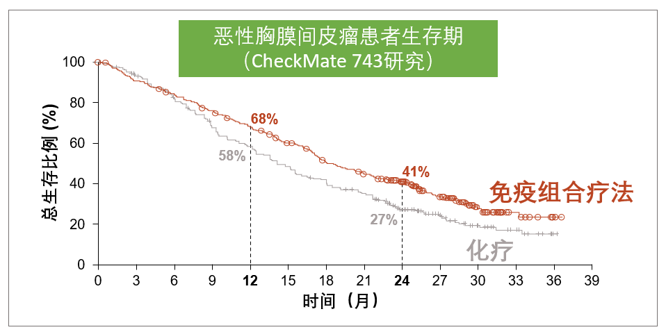 胸膜间皮瘤患者生存期限与治疗响应相关性探究
