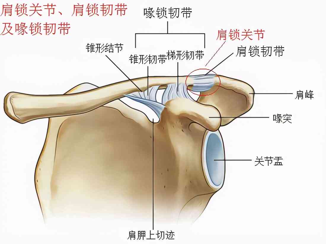 胸骨断裂伤残等级判定及赔偿标准解析