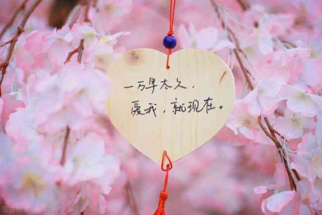 表达对女朋友的爱意：精选说说句子，深情告白攻略大全