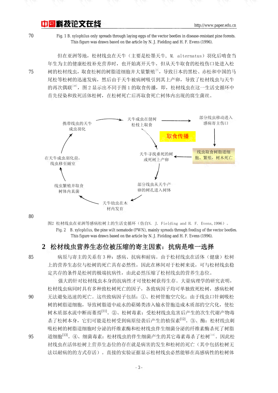 意境作品：含义、举例、析及标题与文案撰写指南