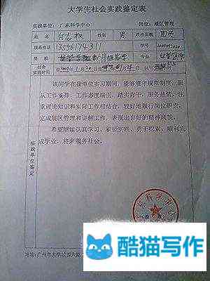 大学生社会实践报告表格在线与填写指南