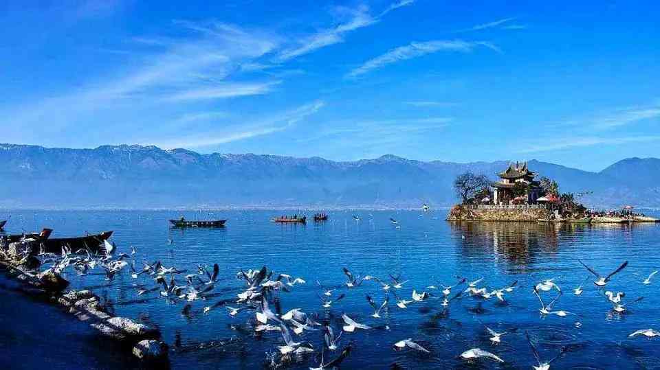 旅游博主ai写文案怎么写