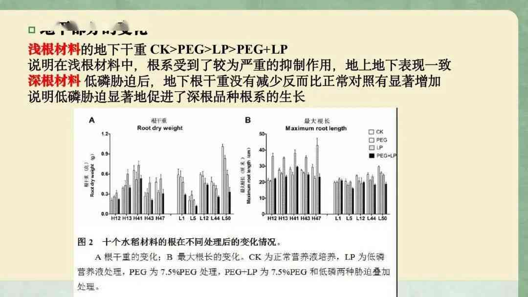 外国人写的作业：称谓、内容、写作惯及教育反应探究
