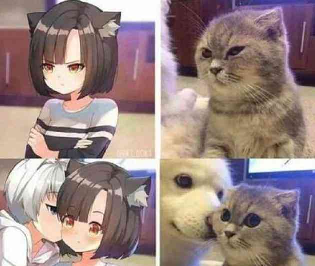 猫咪二次元ai绘画搞笑文案