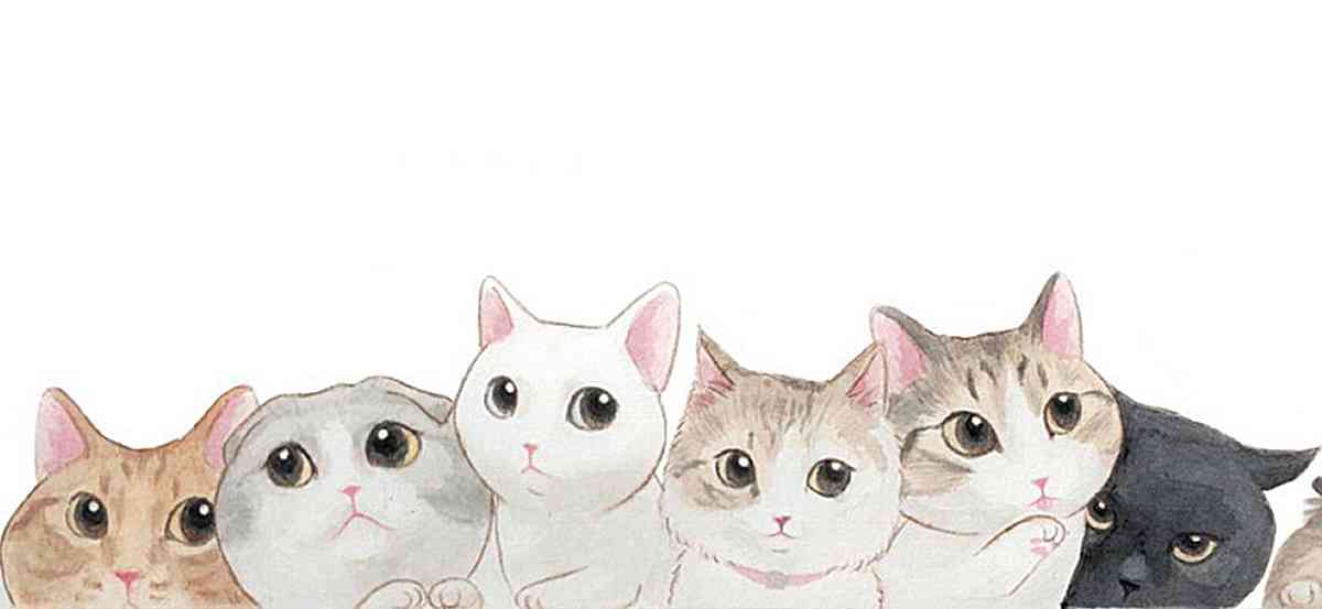 猫咪二次元ai绘画搞笑文案