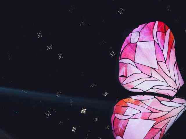 ai蝴蝶仙子文案