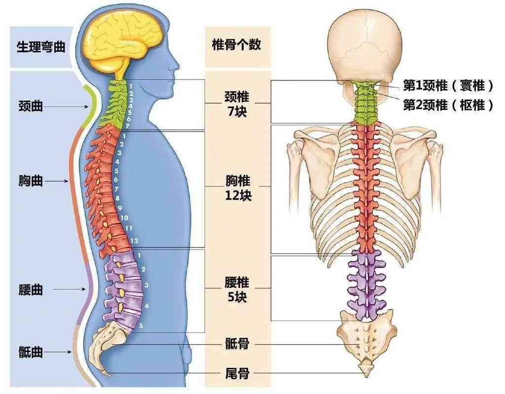 腰椎侧弯可以认定工伤几级