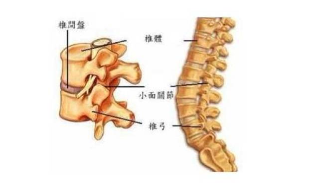 腰椎盘突出可以认定工伤