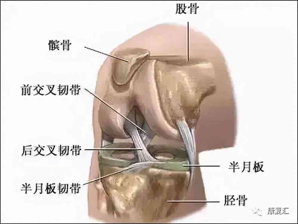 膝关节积液能认定工伤吗