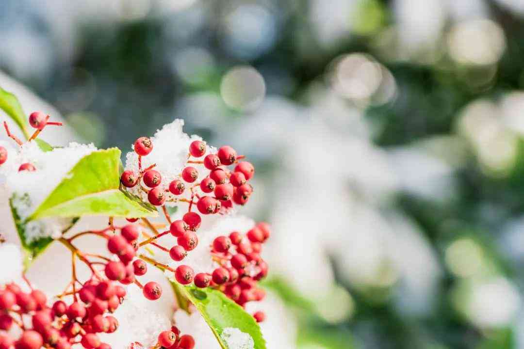 AI旋转小火锅文案