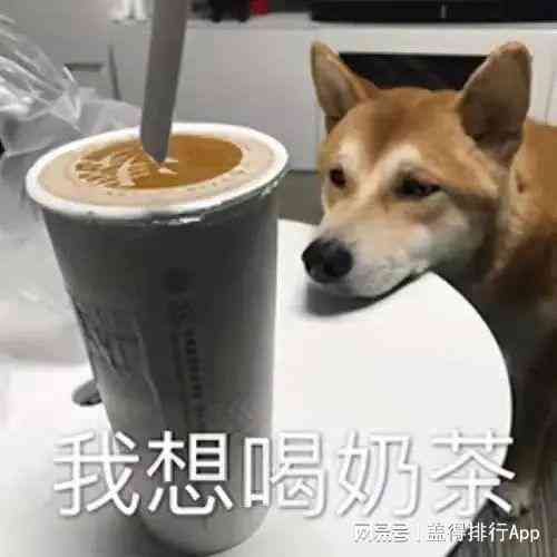 ai特效文案搞笑宠物